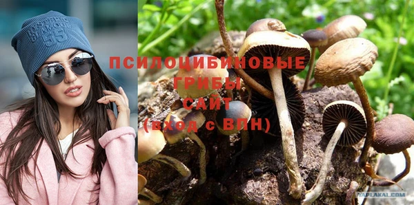 a pvp Баксан