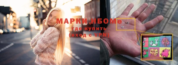 индика Балабаново