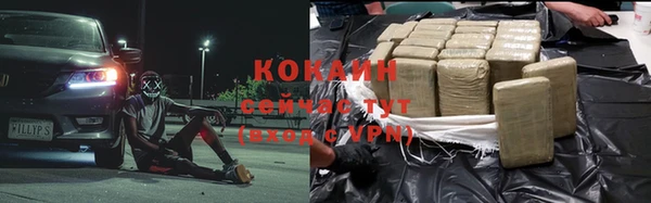 индика Балабаново