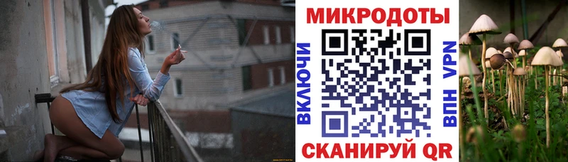 Галлюциногенные грибы Psilocybine cubensis  Ершов 